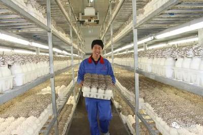 富農 興農 強農 惠農!來看這張北辰現代農業發展成績單~