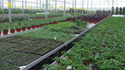 浙江東浦農(nóng)業(yè)開發(fā)