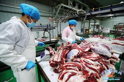 祁連牧歌悠揚(yáng) 張掖一企獲評&ldquo;國家級(jí)綠色工廠&rdquo;