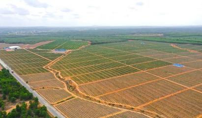 儋州榮獲全國&ldquo;最具農(nóng)業(yè)投資價(jià)值縣(區(qū))&rdquo;稱號(hào)