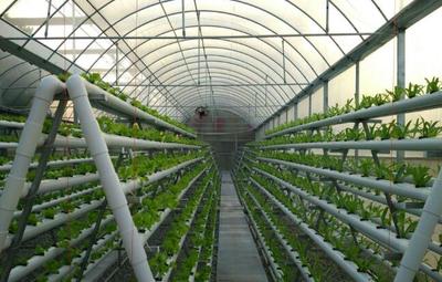 臺(tái)州市三門縣洋市涂6000畝現(xiàn)代農(nóng)業(yè)基地開(kāi)發(fā)項(xiàng)目