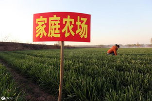 自治區(qū)農(nóng)業(yè)農(nóng)村廳關(guān)于印發(fā)2019年中央農(nóng)業(yè)生產(chǎn)發(fā)展資金 家庭農(nóng)場(chǎng) 項(xiàng)目實(shí)施方案的通知