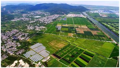 總面積8.5萬(wàn)畝!海寧農(nóng)業(yè)經(jīng)濟(jì)開(kāi)發(fā)區(qū)成立!