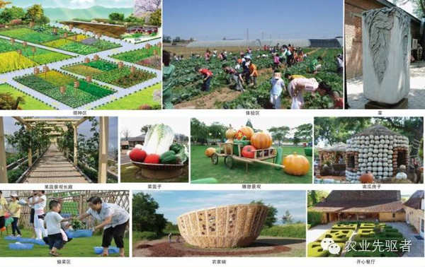 休閑農業要發展,輕資產運營很重要_財經_網