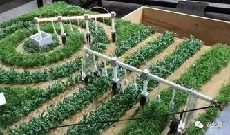 以色列農(nóng)業(yè)發(fā)展：農(nóng)業(yè)不只關(guān)乎農(nóng)民，更關(guān)乎科技創(chuàng)新與國(guó)家戰(zhàn)略