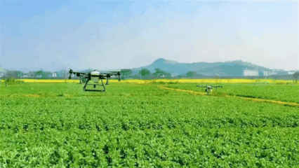 農(nóng)業(yè)科學(xué)推動(dòng)農(nóng)業(yè)開(kāi)發(fā)的創(chuàng)新與可持續(xù)發(fā)展