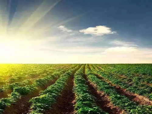 農(nóng)業(yè)為國(guó)之根本 未來(lái)農(nóng)業(yè)開(kāi)發(fā)的小趨勢(shì)