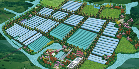 高端訪談 寧波海創(chuàng)科技園副總經(jīng)理單揚(yáng)勛談農(nóng)業(yè)開(kāi)發(fā)創(chuàng)新之路