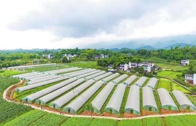 璧山 培育農(nóng)業(yè)新業(yè)態(tài)，城鄉(xiāng)融合書(shū)新卷
