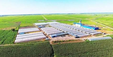 扶余 產(chǎn)業(yè)強(qiáng)、農(nóng)民富，繪就千里沃野新圖景