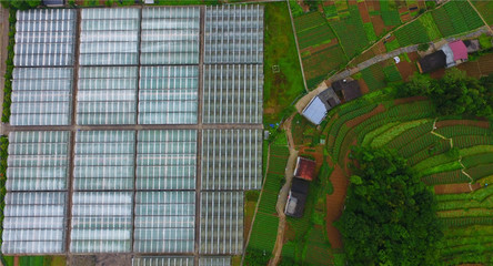 重慶巫溪 技術(shù)提升助力馬鈴薯產(chǎn)業(yè)發(fā)展，推動(dòng)農(nóng)業(yè)創(chuàng)新開(kāi)發(fā)