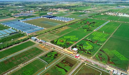 銀川農(nóng)業(yè)開發(fā)新篇章 創(chuàng)新驅(qū)動與可持續(xù)發(fā)展并進(jìn)