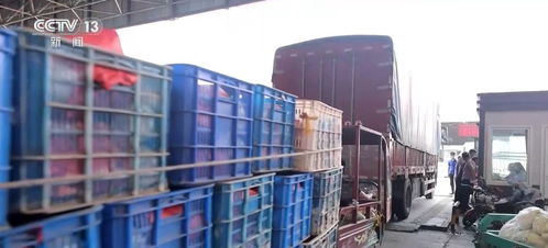 一季度農(nóng)業(yè)農(nóng)村經(jīng)濟(jì)實(shí)現(xiàn)開門穩(wěn)開門紅，發(fā)展勢頭持續(xù)向好