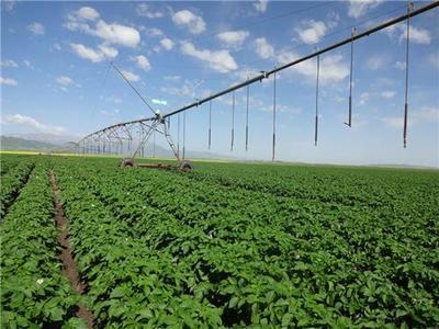 有機(jī)農(nóng)業(yè)種植技術(shù)在中國(guó)的發(fā)展與應(yīng)用——以貴州輝煌農(nóng)業(yè)開(kāi)發(fā)為例