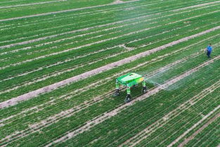 智慧農(nóng)業(yè) 科技與農(nóng)業(yè)融合下的新型農(nóng)田種植模式開(kāi)發(fā)