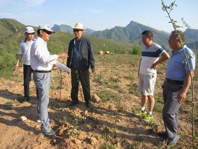 河北井陘開(kāi)展農(nóng)業(yè)專項(xiàng)資金審計(jì)，助力農(nóng)業(yè)開(kāi)發(fā)提質(zhì)增效