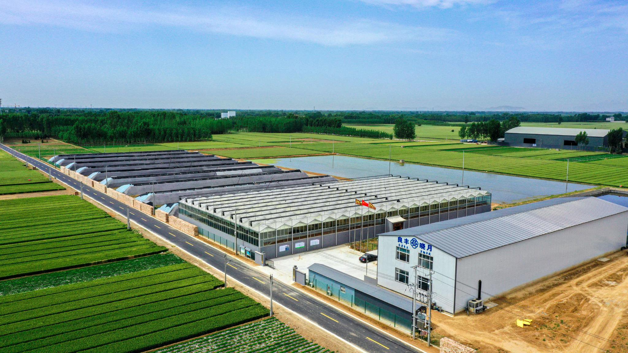 點(diǎn)‘綠’成金 跨界種養(yǎng)繪就農(nóng)業(yè)開(kāi)發(fā)新豐景